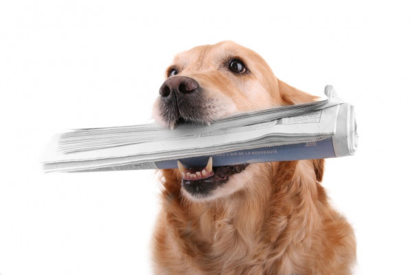 Мишустин обновил состав сопредседателей межправкомиссий с зарубежными странами